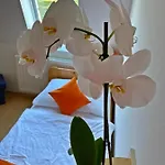 Magnolia Hotel Balatonszepezd