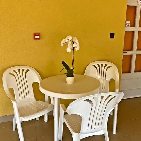 Magnólia Balatonszepezd