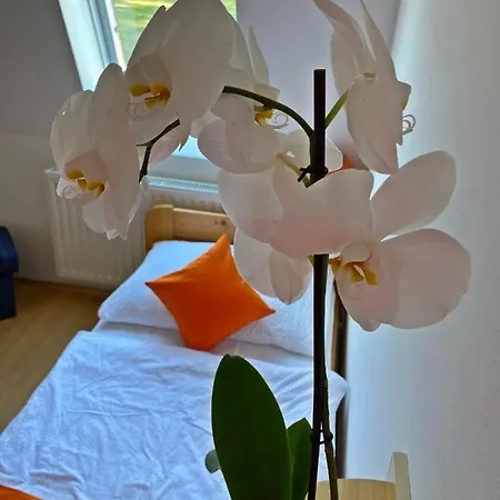Magnolia Ξενοδοχείο Balatonszepezd